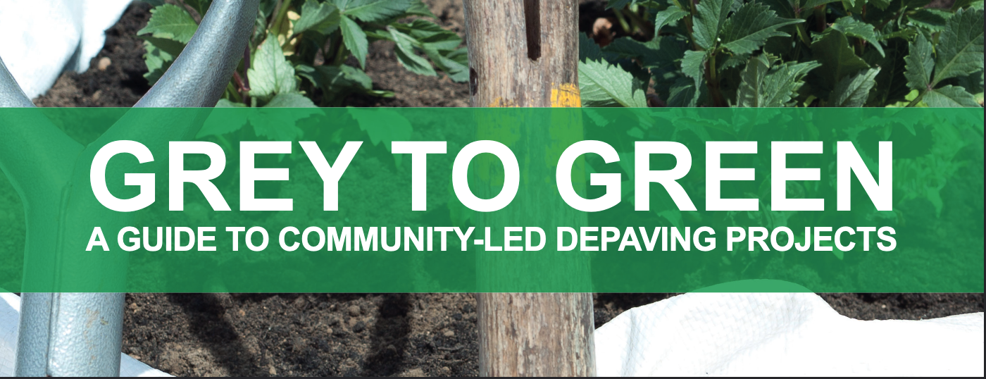 Grey to Green - a guide to community-led depaving projects